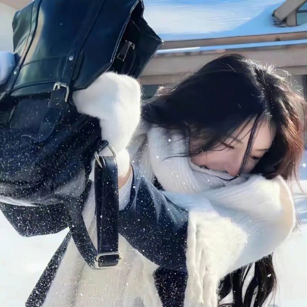 风起洛阳之双子追凶