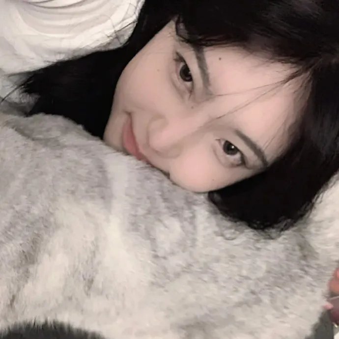 蓬莱龙棺之徐福宝藏